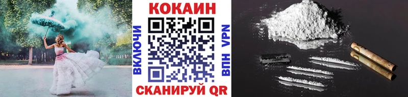 закладки  Новоржев  Кокаин Fish Scale 