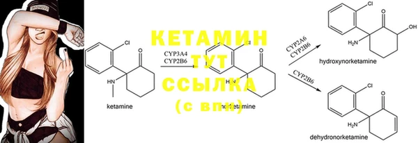 мдпв Верея