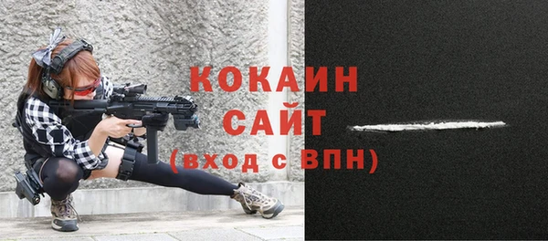 мдпв Верея