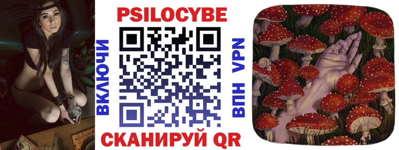 Псилоцибиновые грибы MAGIC MUSHROOMS  кракен зеркало  Новоржев  наркотики 